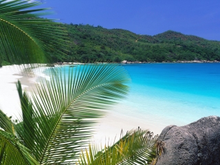 Лучшие в мире пляжи – на Сейшелах