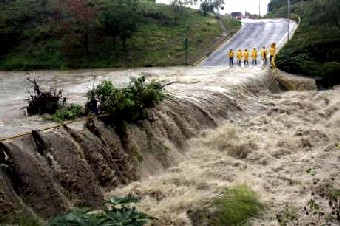Тропический шторм ''Арлин'' принес в Мексику не менее опасные проливные дожди