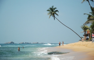 Шри-Ланка - самое дешевое дальнее направление