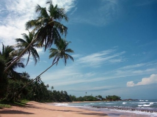 Виза по прибытию на Шри-Ланку будет выдаваться до конца марта 2012