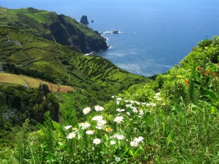 Азорские острова (Португалия) названы бюжетным направлением номер один