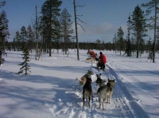 Теплая погода в Финляндии рушит мечты туристов о зимней сказке в Лапландии