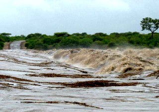 Туристы, пойманные в ловушку наводнением в национальном парке ЮАР, спасены
