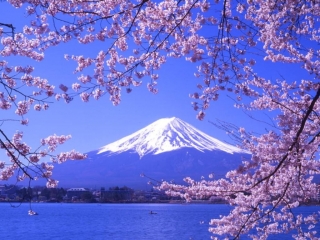 Япония планирует внести гору Фудзи в Список Всемирного наследия ЮНЕСКО