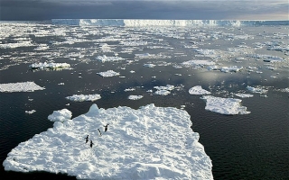 Резкое падение потока туристов в Антарктику