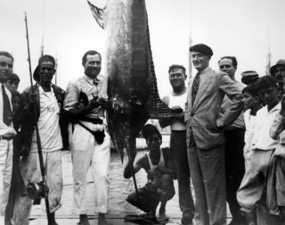 Поймай и отпусти: в Гаване стартовал Международный турнир по ловле меч-рыбы