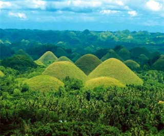 Рекордное восстановление лесов привлечет туристов на Филиппины