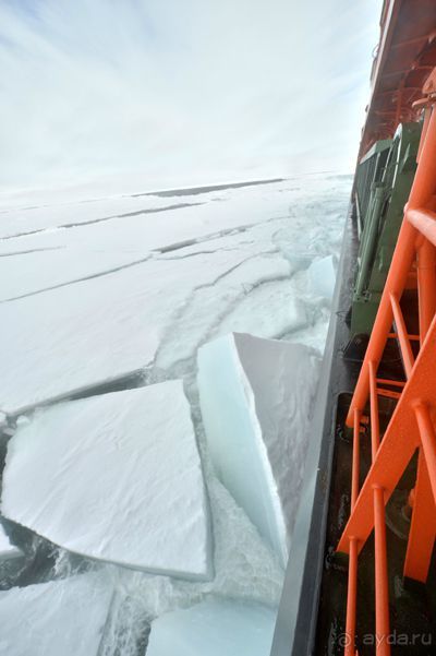 К Северному полюсу на ледоколе "50 лет Победы"