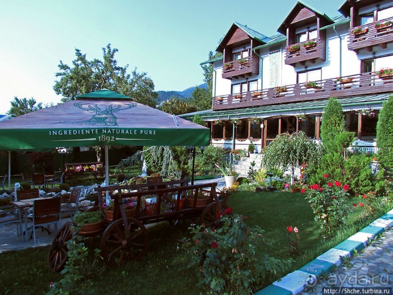 Альбом отзыва "Отель — ресторан — сауна в горах Румынии"