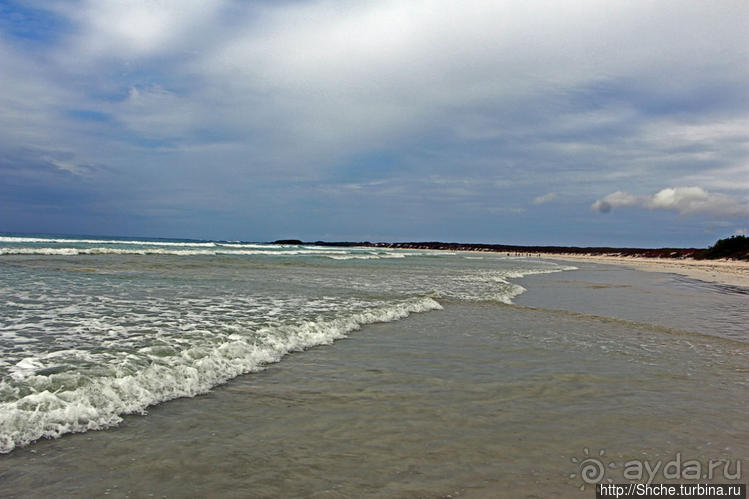 Альбом отзыва "Playa Brava — километр чистейшего песка для морских игуан"