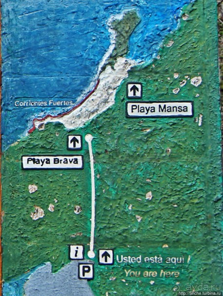 Альбом отзыва "Playa Brava — километр чистейшего песка для морских игуан"