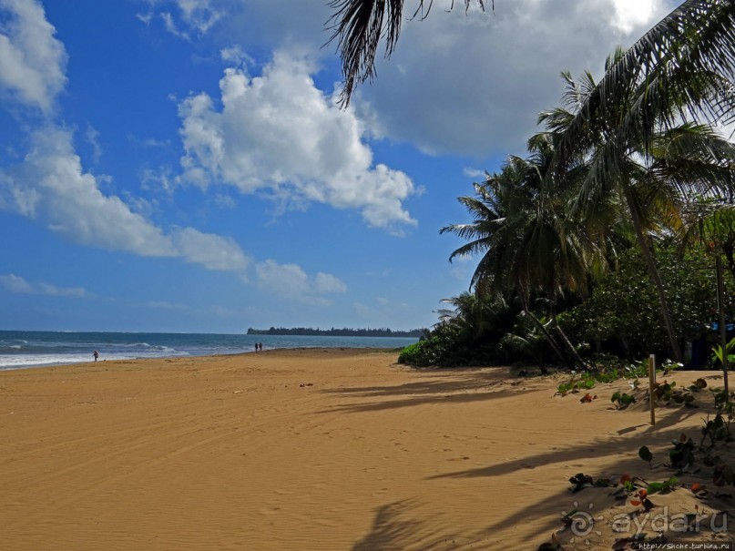 Альбом отзыва "Типа пляжный отдых в Пуэрто-Рико — 1,5 купаний за неделю"