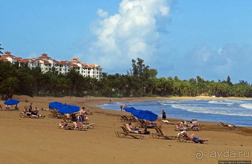 Альбом отзыва "Типа пляжный отдых в Пуэрто-Рико — 1,5 купаний за неделю"