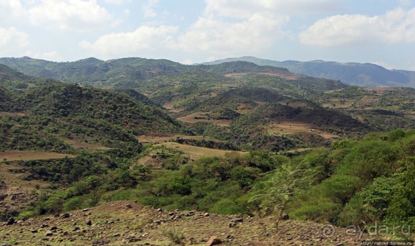 Альбом отзыва "Эфиопские картинки. Дорога в Лалибелу. Регион Амхара"