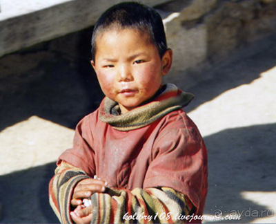 Альбом отзыва "Тибет."