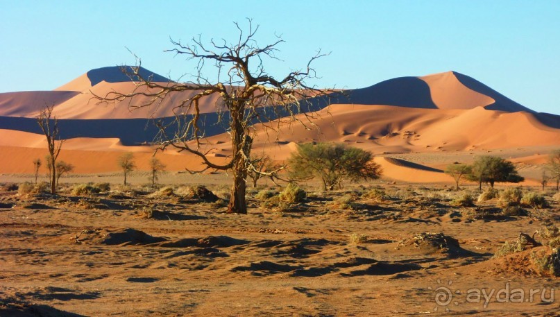 Альбом отзыва "Намибия. Африка. Великая пустыня Намиб."