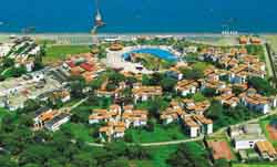 �������� Club Turtle's Marco Polo