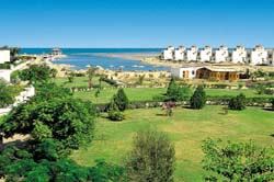 �������� Coral Sea Imperial Resort (ex. Conrad)