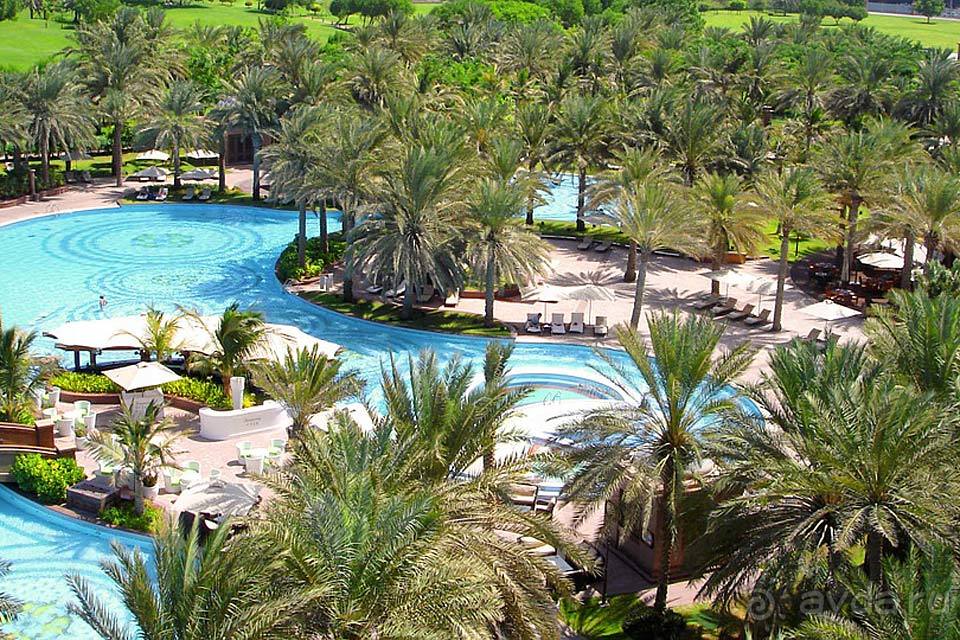 Отдых в Абу-Даби