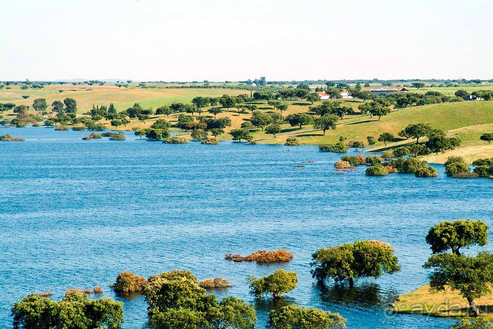 Отдых в Албуфейре