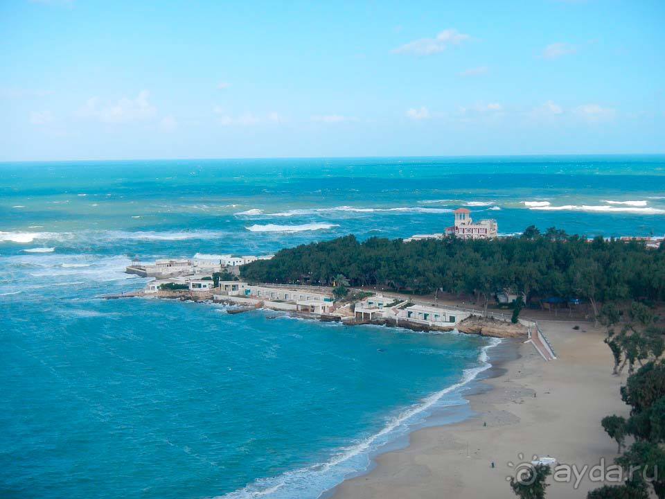 Отдых в Александрии