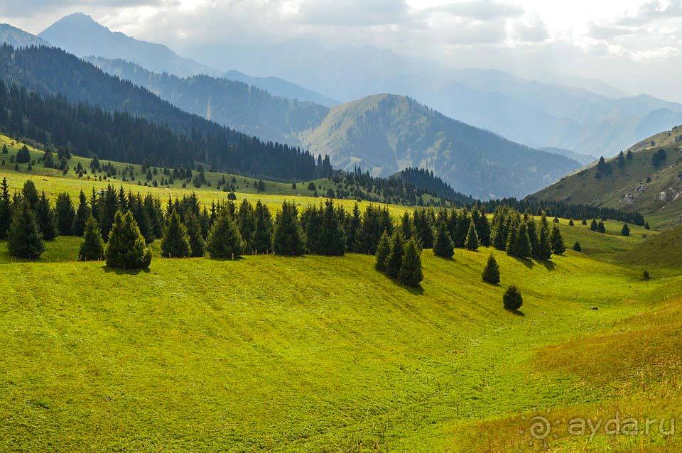 Отдых в Алматы