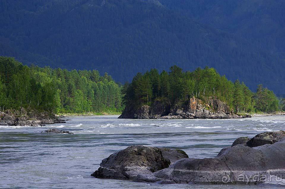 Отдых на Алтае