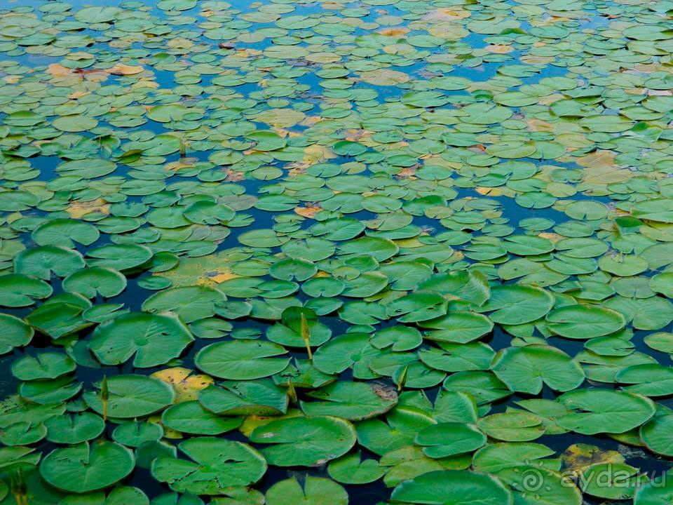 Отдых в Амазонии