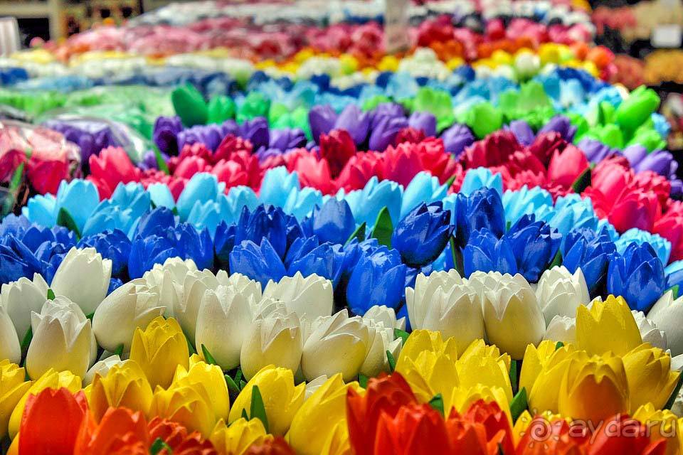 Отдых в Амстердаме