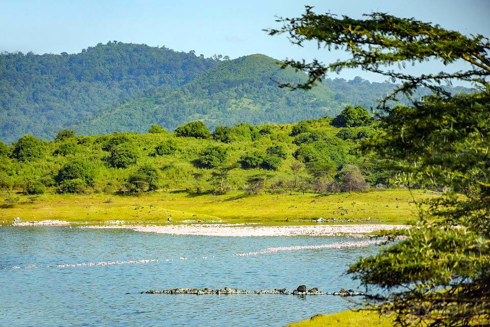 Отдых в Аруше