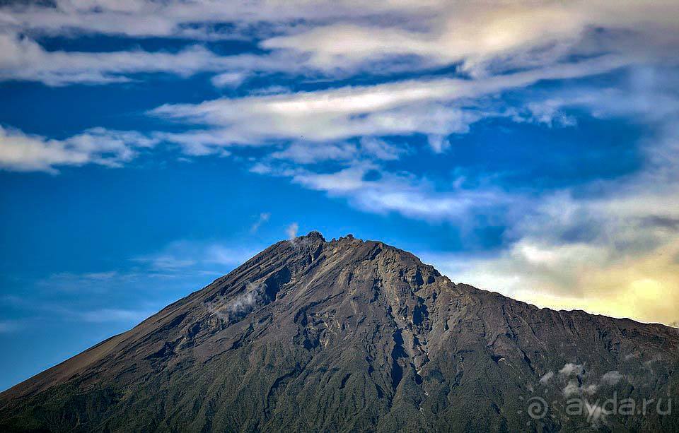 Отдых в Аруше