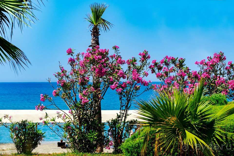 Отдых в Авсалларе