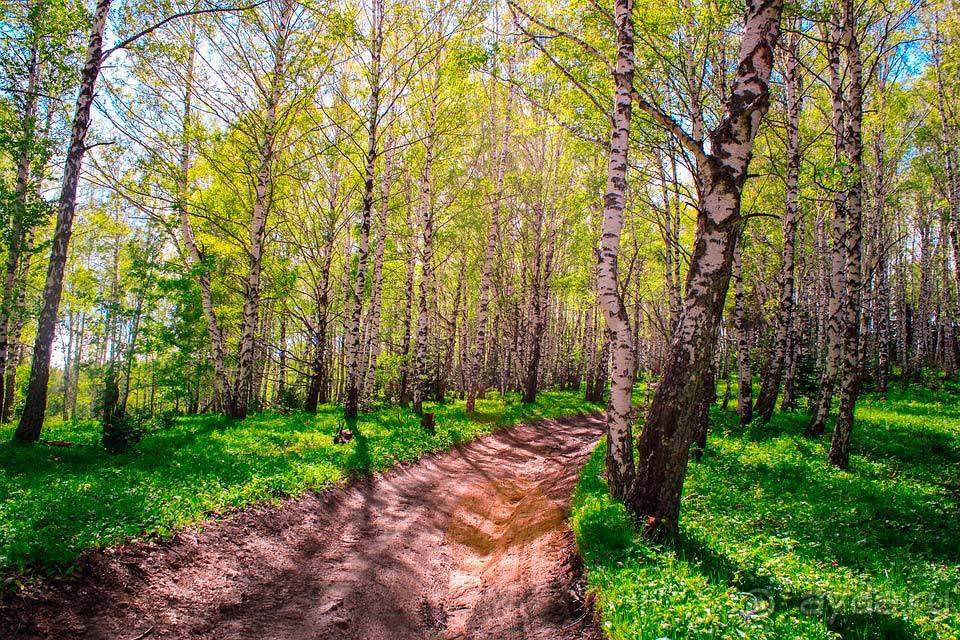 Отдых в Белокурихе