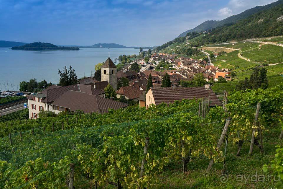 Отдых в Билье