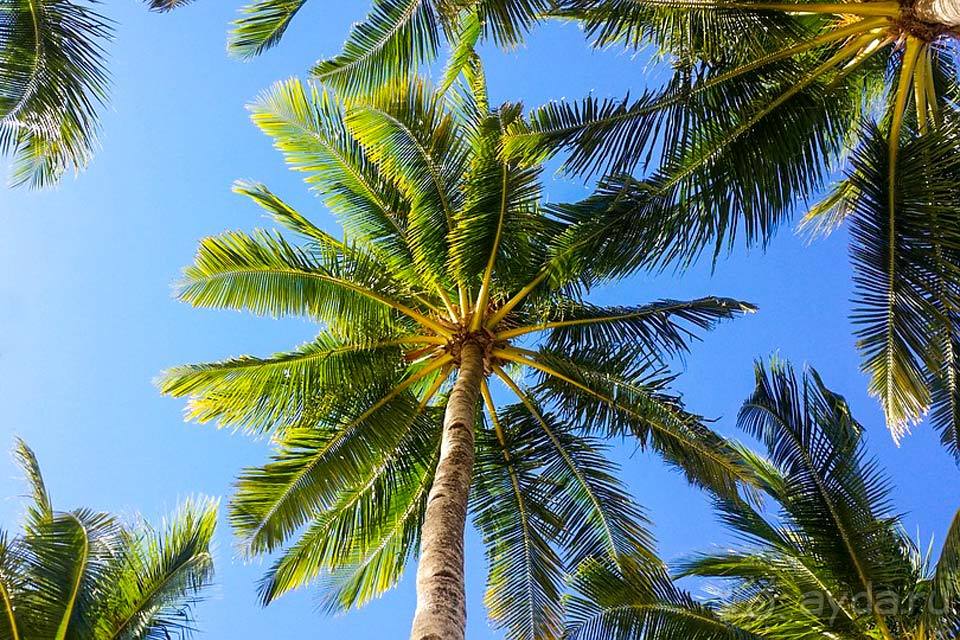 Отдых на Боракай