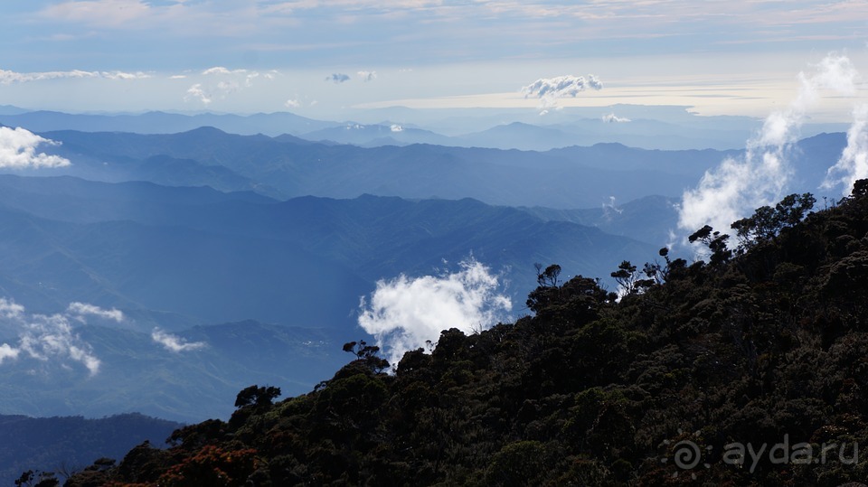 Отдых на Борнео