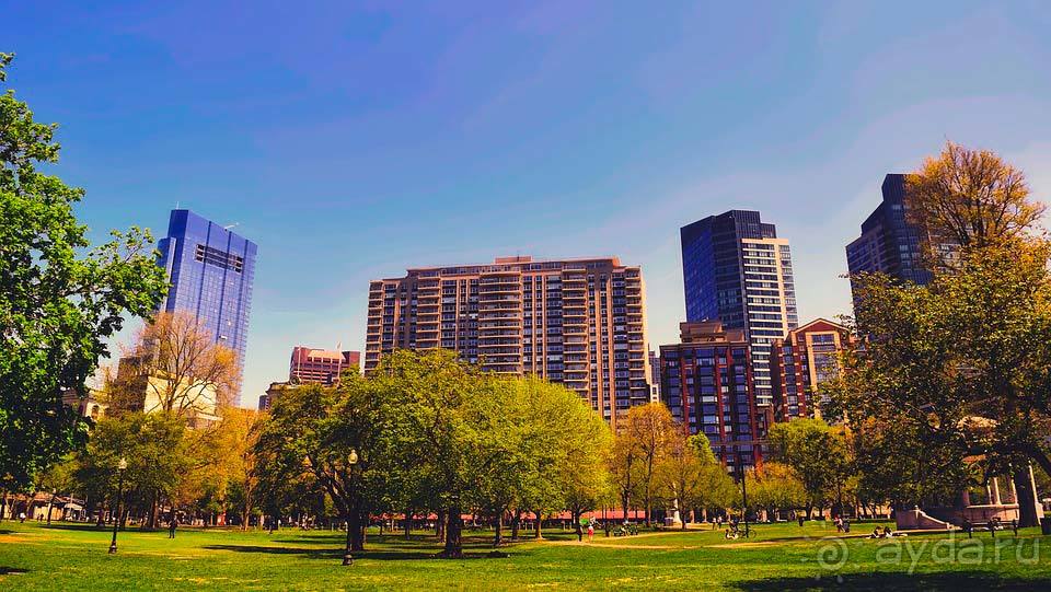 Отдых в Бостоне