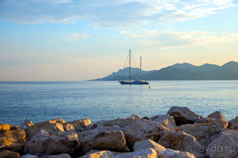 Отдых в Каннах