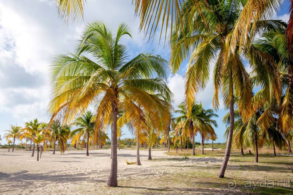 Отдых в Кайо Ларго