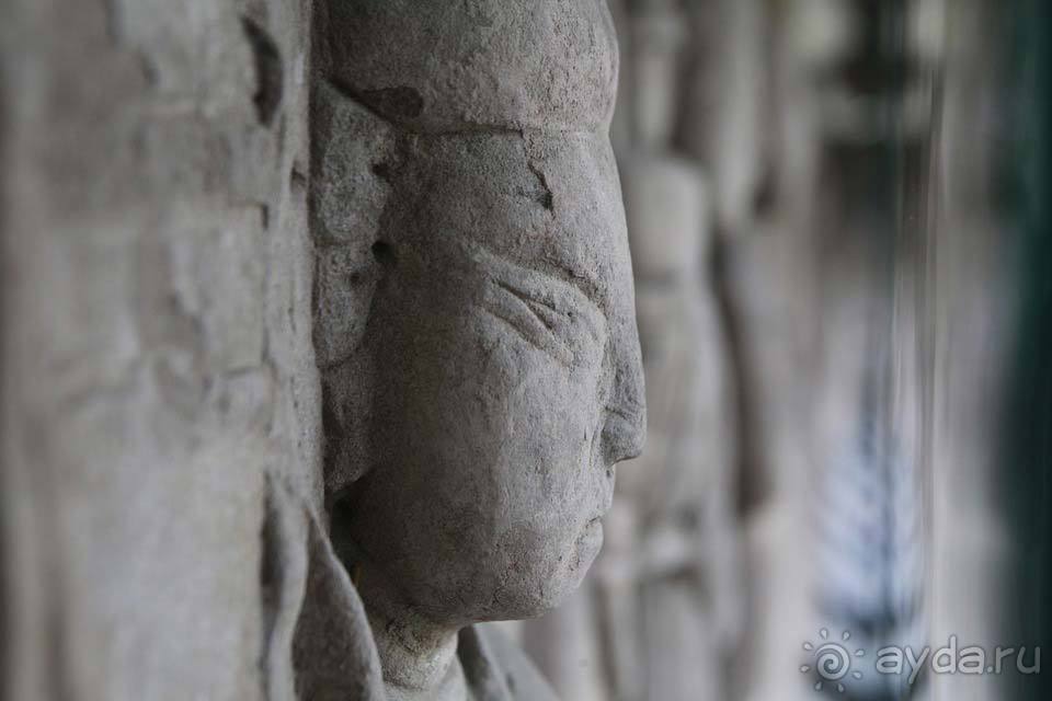 Отдых в Чэнду