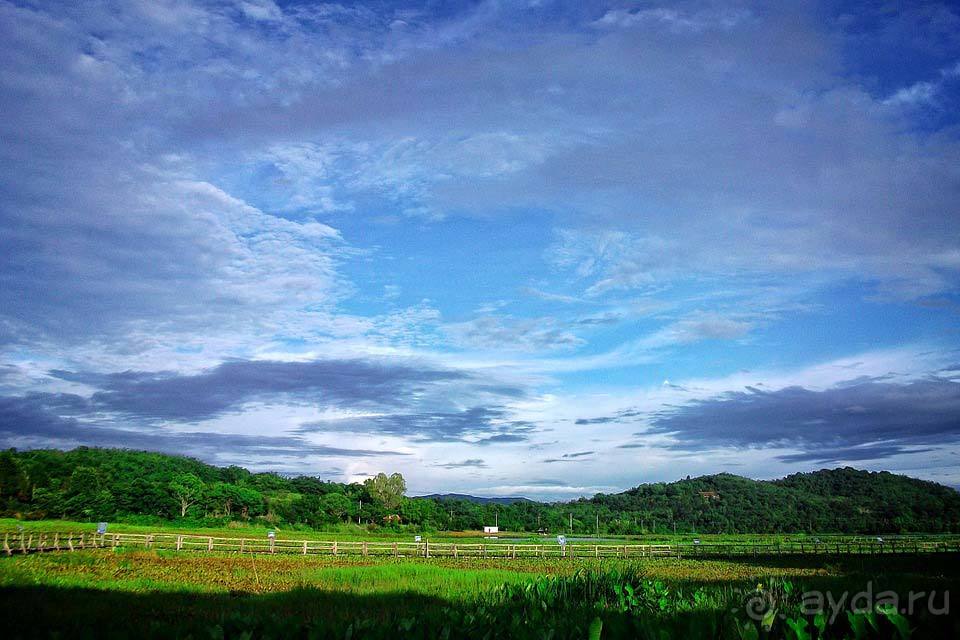 Отдых в Чианграй