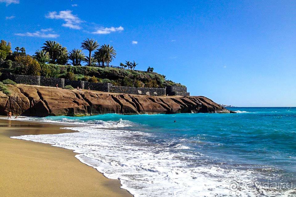 Коста Адехе