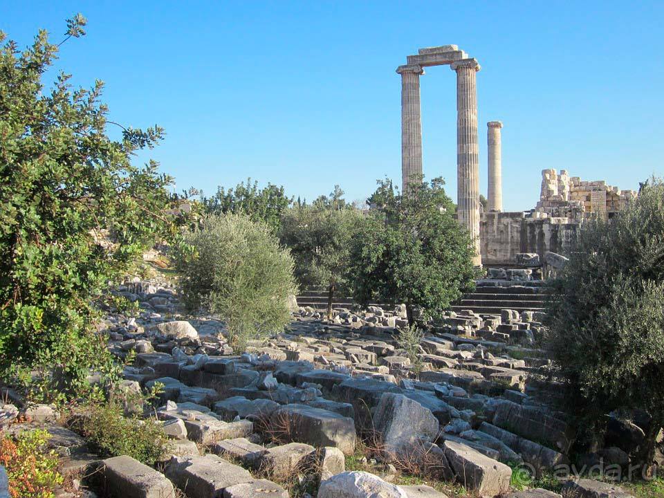 Отдых в Дидиме