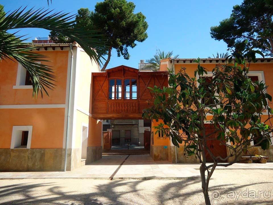 Отдых в Эльче