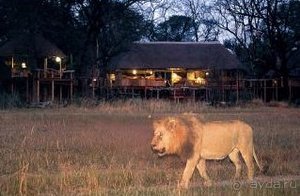 Отдых в Национальном Парке Этоша