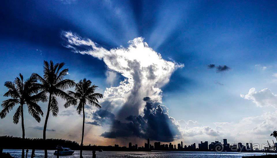 Отдых в Флориде