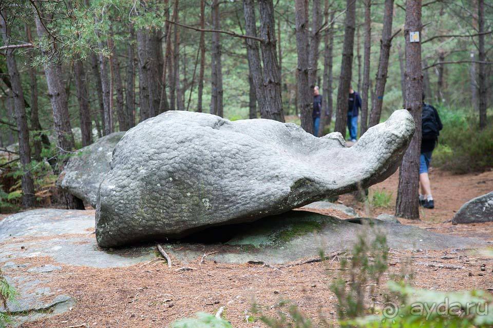 Отдых в Фонтенбло