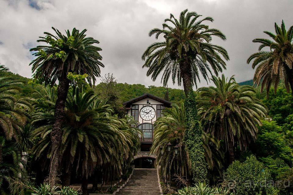 Отдых в Гагре