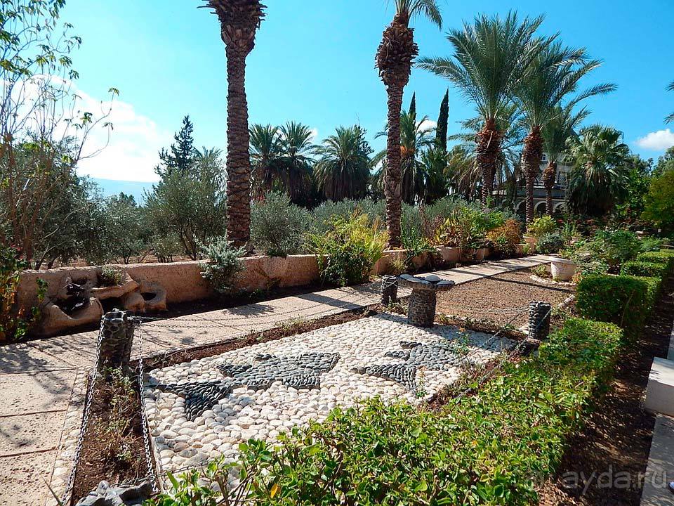 Отдых в Галилеи