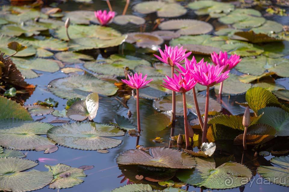 Отдых в Гоа